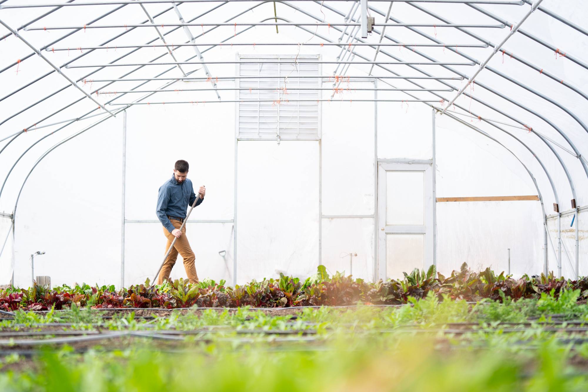 Former farm manager Youssef Darwich tends to the plants in a hoop house at the Sustainable Agriculture Project